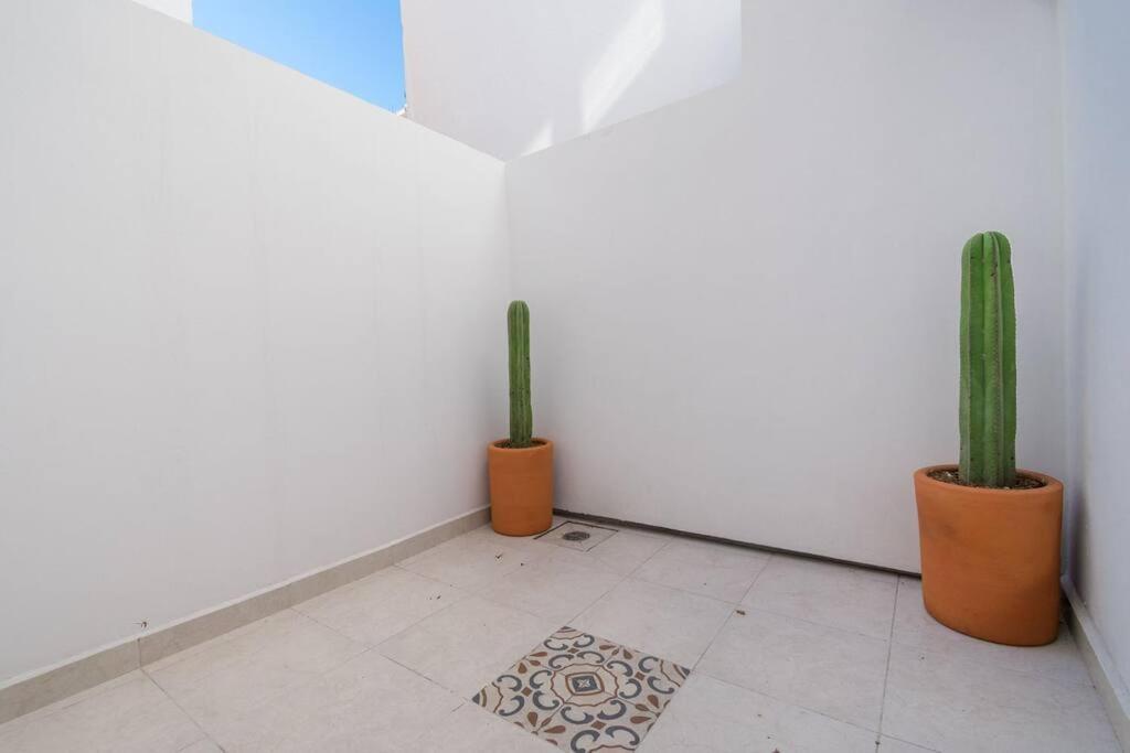 Apartamento R2 At The Center Of Oaxaca Exterior foto