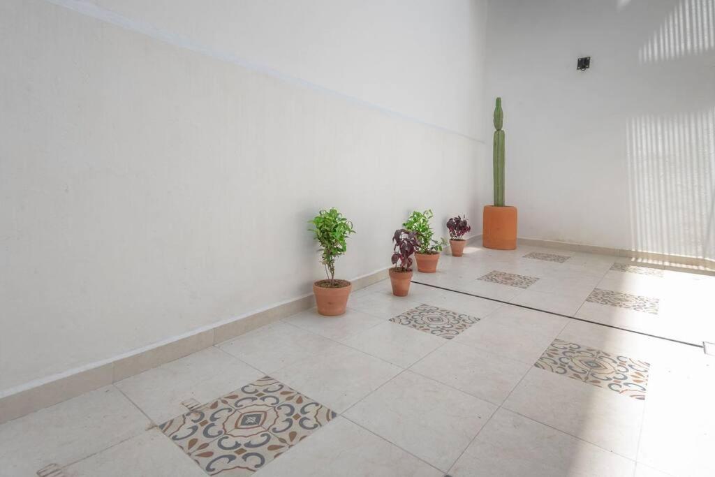 Apartamento R2 At The Center Of Oaxaca Exterior foto